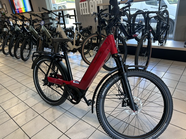 Riese +. Müller Nevo GT 4